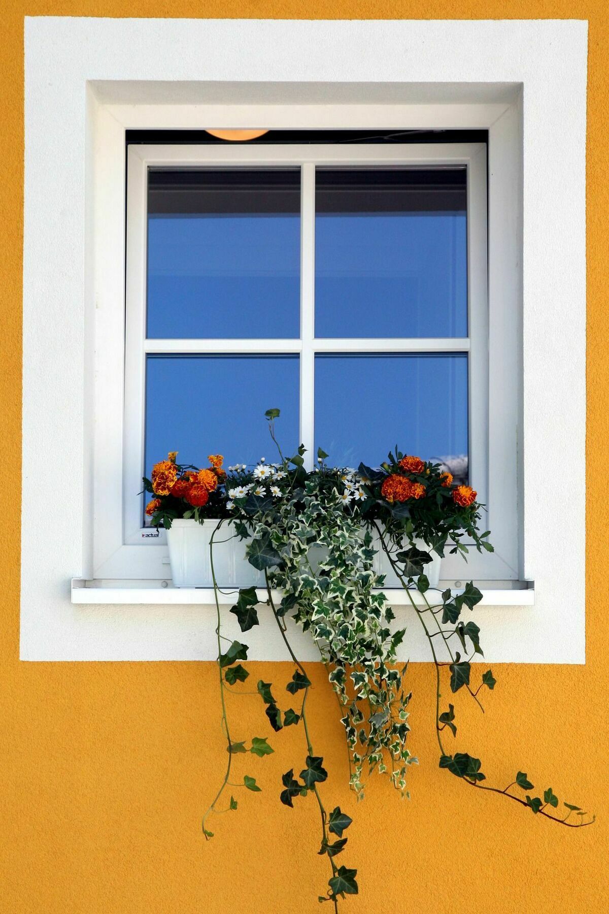 Apartments Ante Portas Salzbourg Extérieur photo
